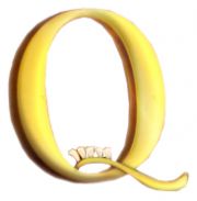 Q Dental Care